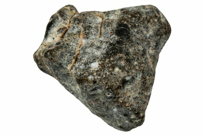 Lunar Meteorite ( g) - NWA #303978